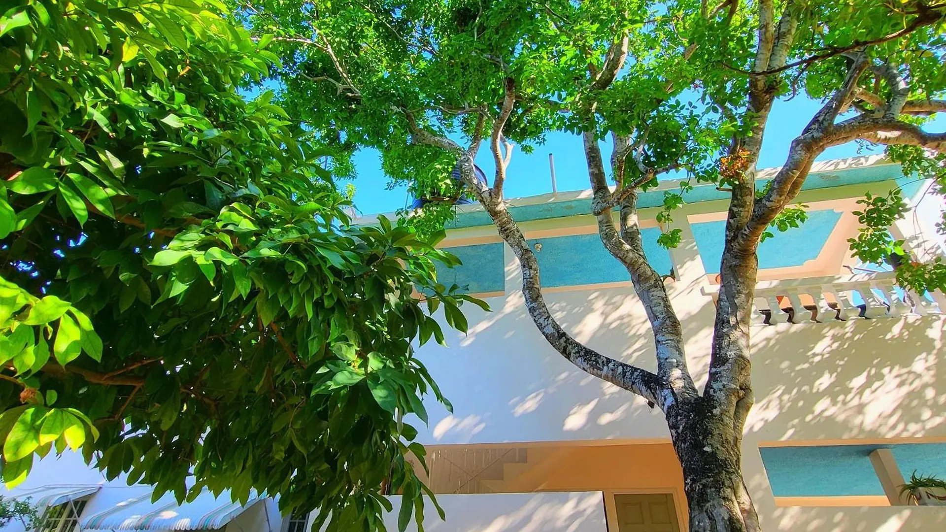 Gasthof Green'S Palace Jamaica Oracabessa